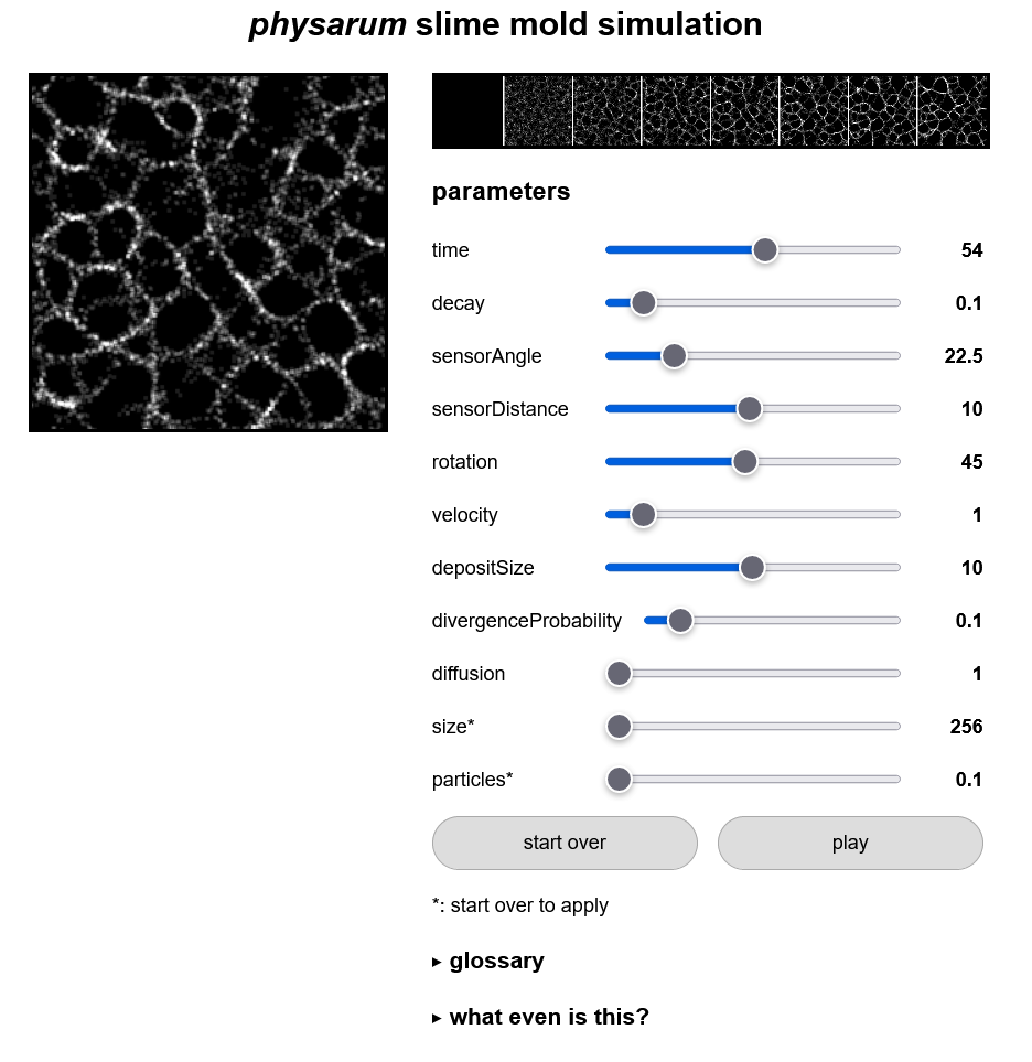 Interactive Recording of Slime Mold Simulation